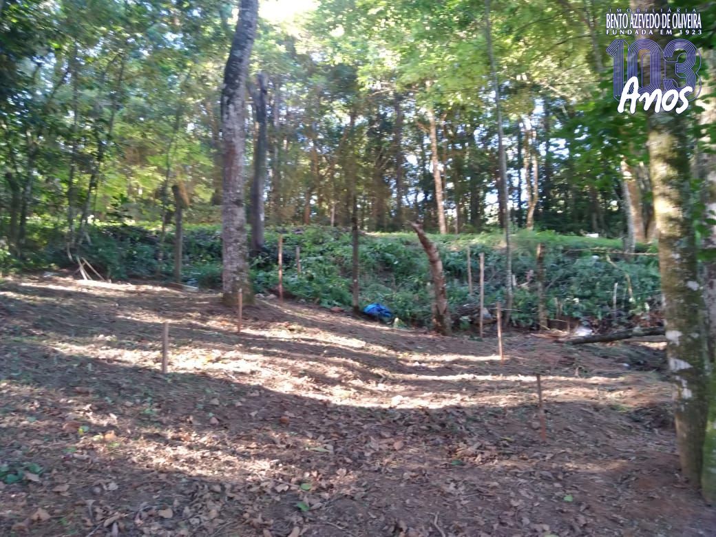 Terreno, 3800 m² - Foto 4