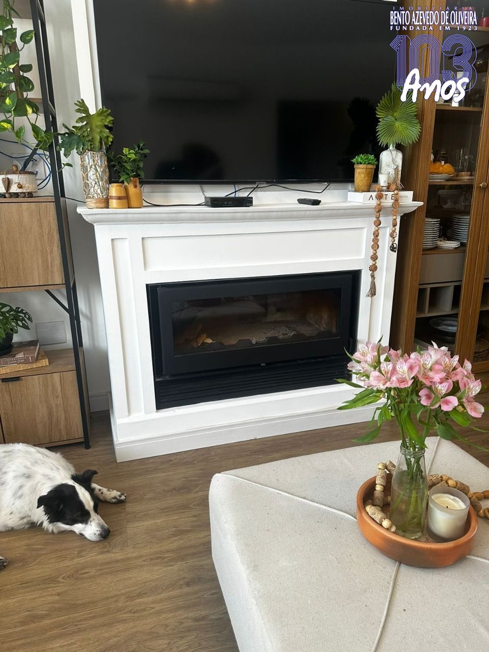 Casa, 3 quartos, 241 m² - Foto 26