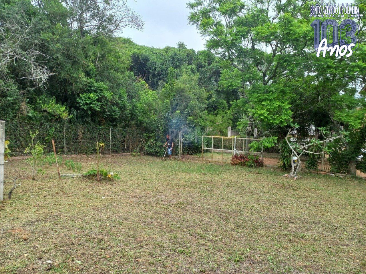 Terreno, 549 m² - Foto 5