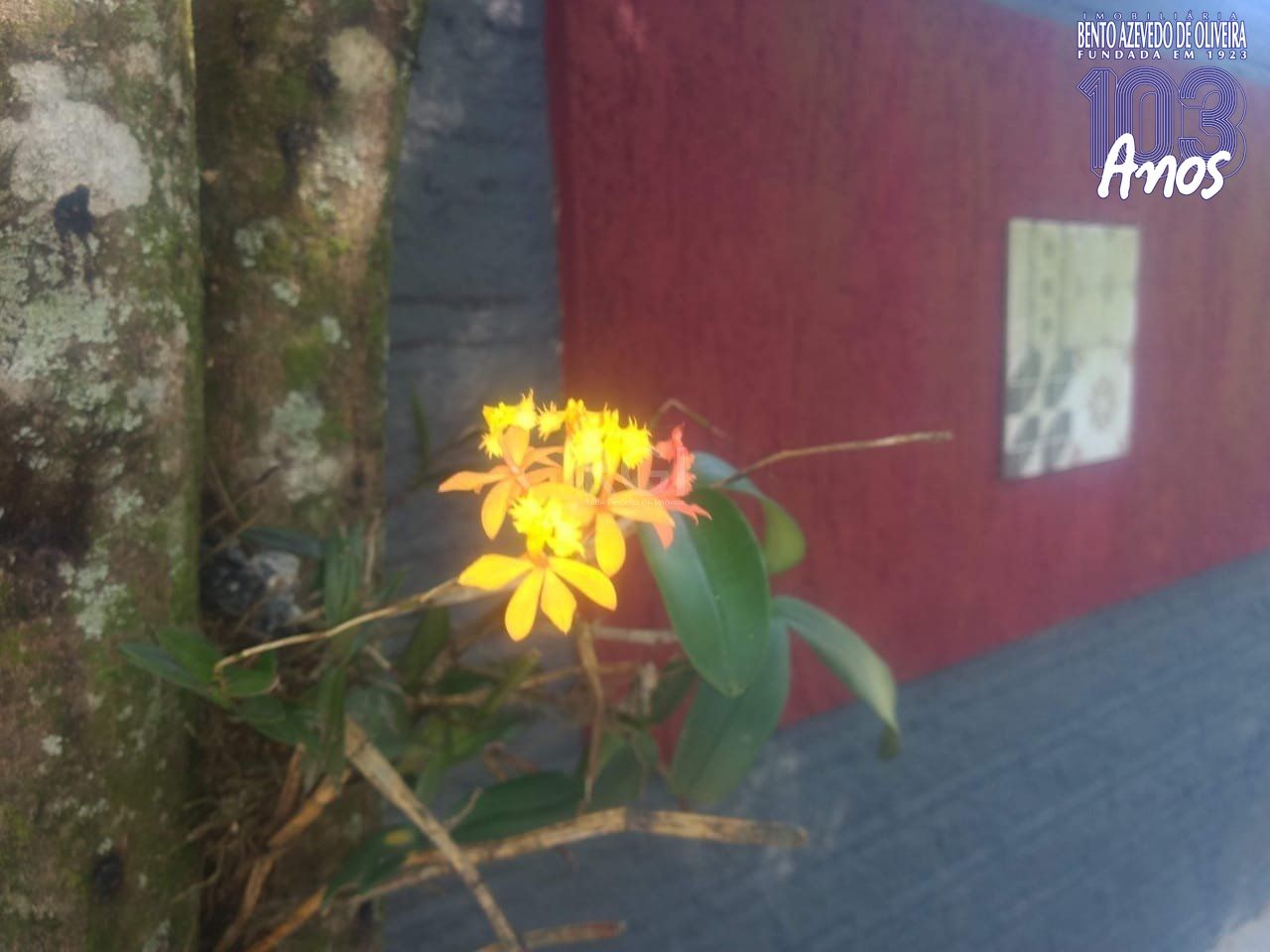 Terreno, 1 m² - Foto 10