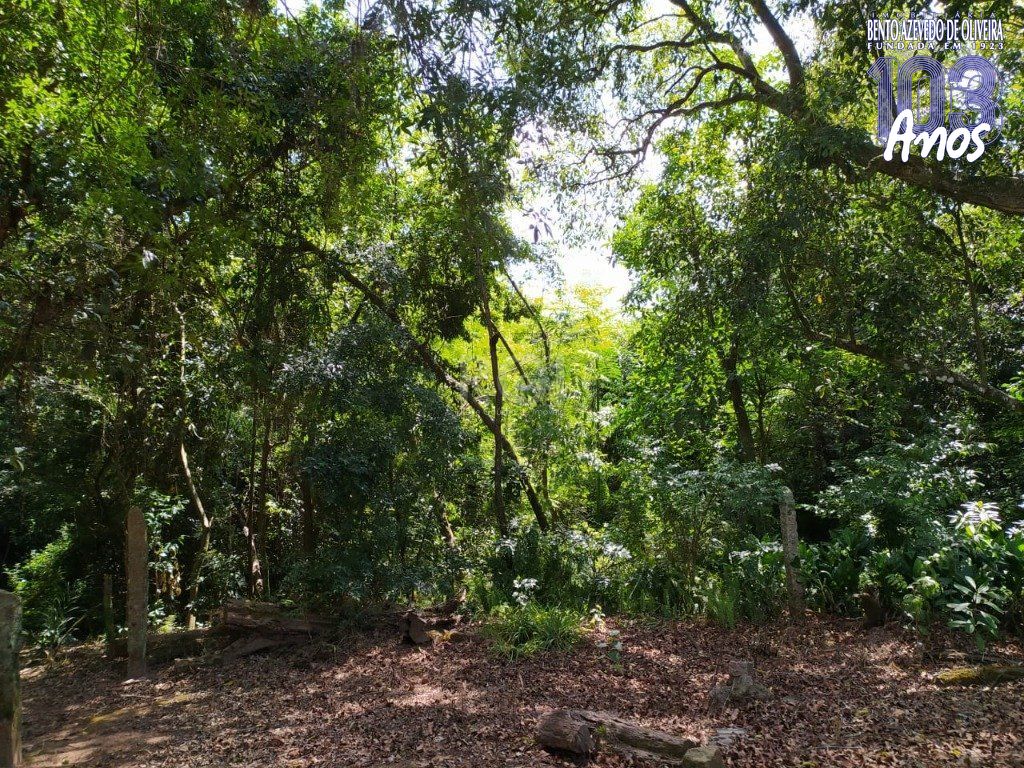 Terreno, 3 hectares - Foto 11