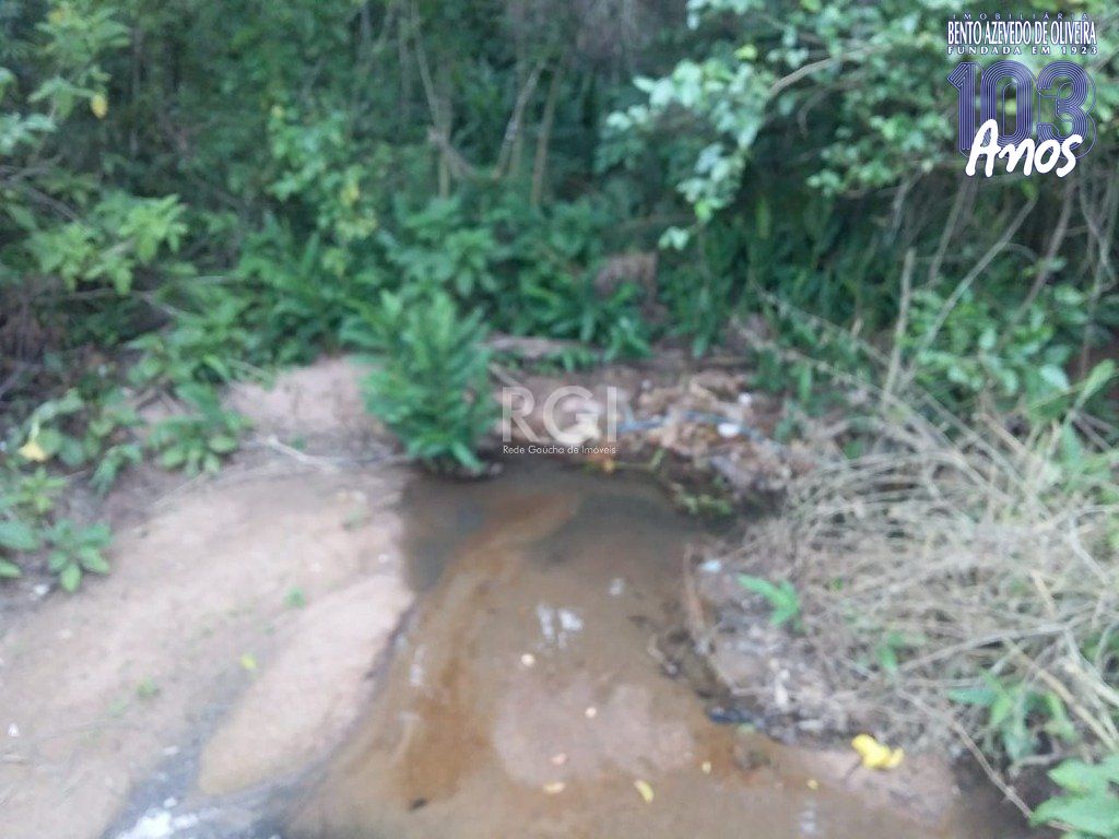 Terreno, 4 hectares - Foto 9