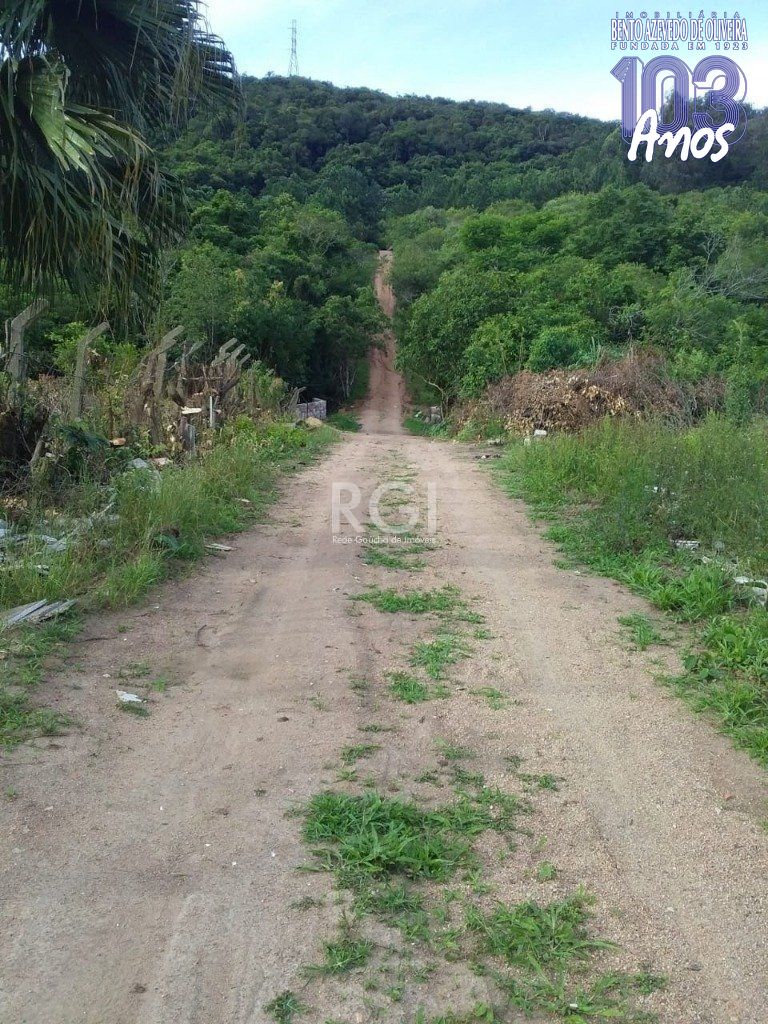 Terreno, 4 hectares - Foto 17