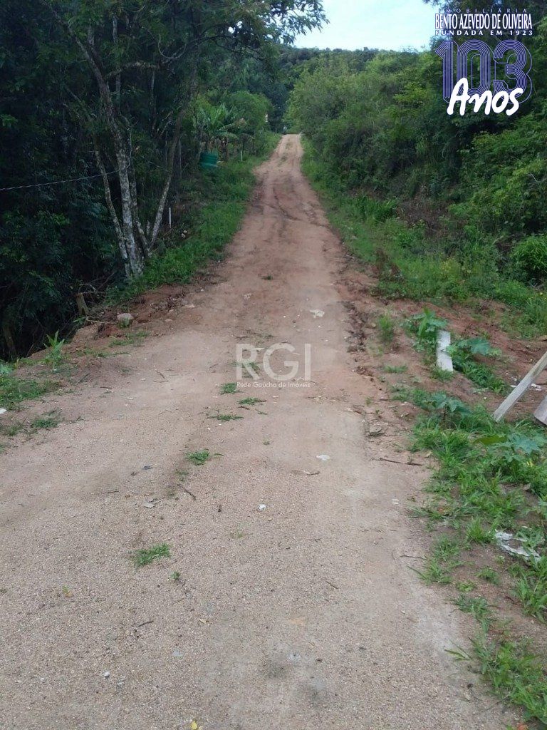 Terreno, 4 hectares - Foto 20