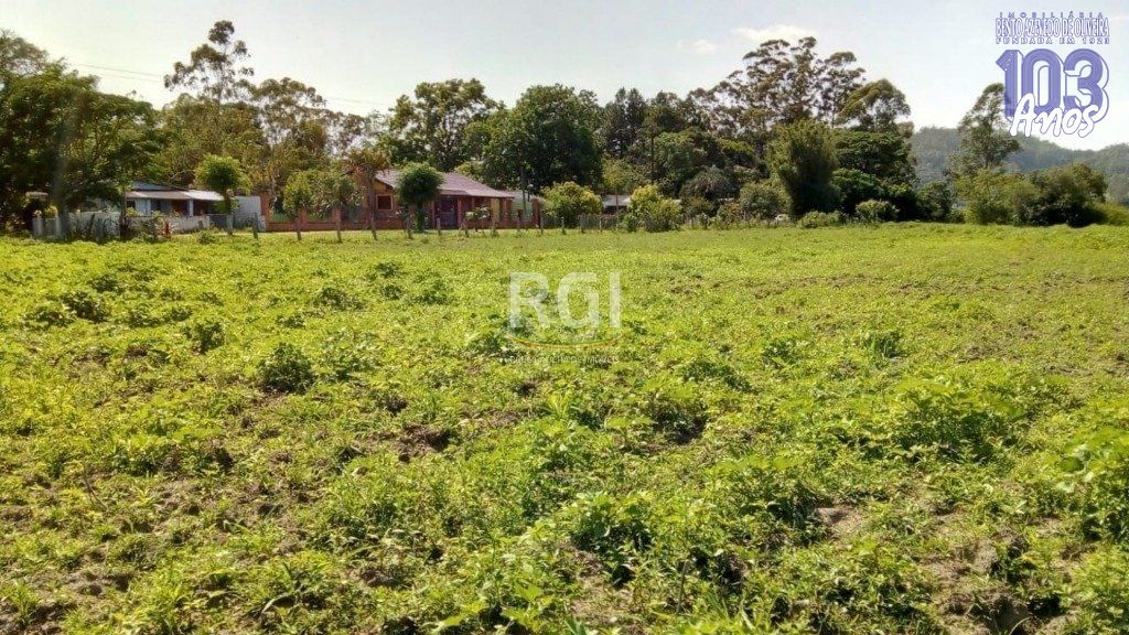 Terreno, 2 hectares - Foto 6