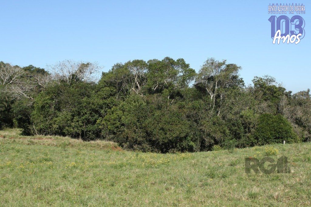 Terreno, 20 hectares - Foto 7
