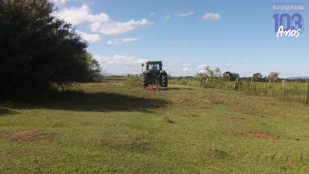 Chácara, 1 quarto, 3 hectares - Foto 21