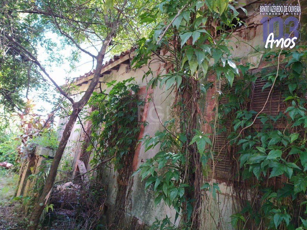 Terreno, 3 hectares - Foto 7