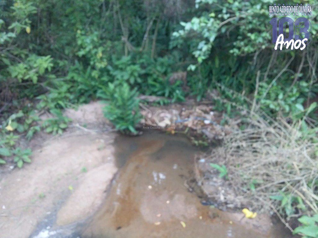 Terreno, 4 hectares - Foto 7