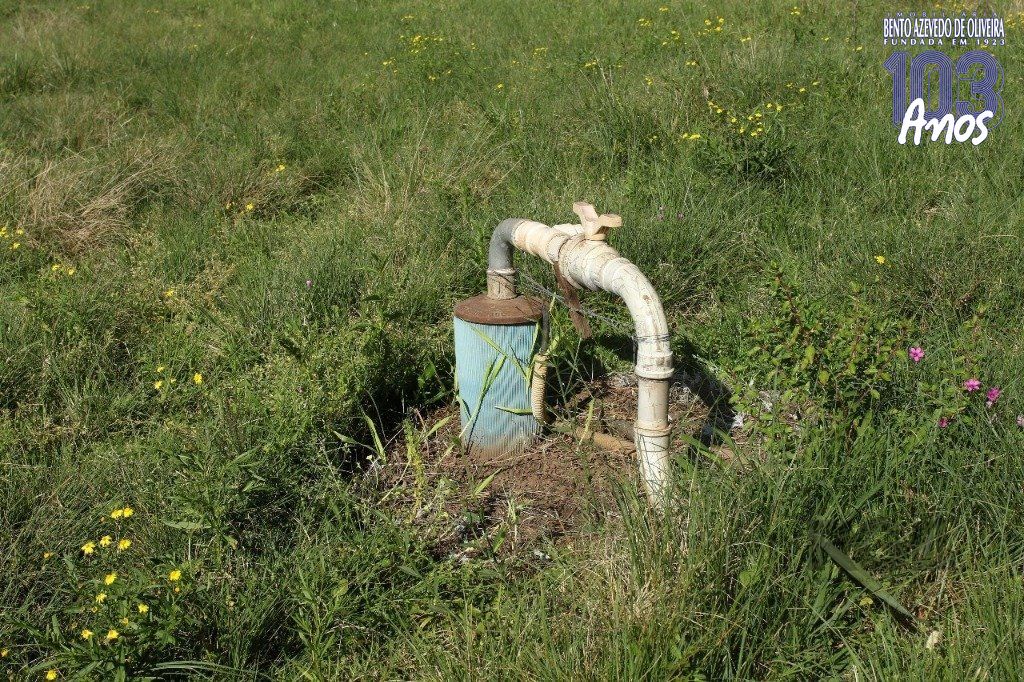 Terreno, 20 hectares - Foto 18