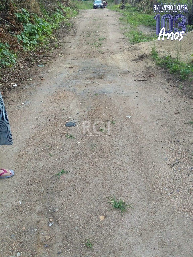 Terreno, 4 hectares - Foto 12