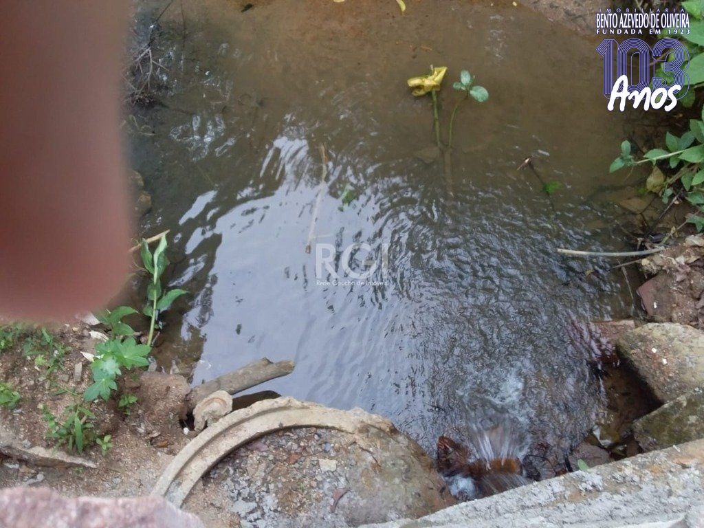 Terreno, 4 hectares - Foto 13