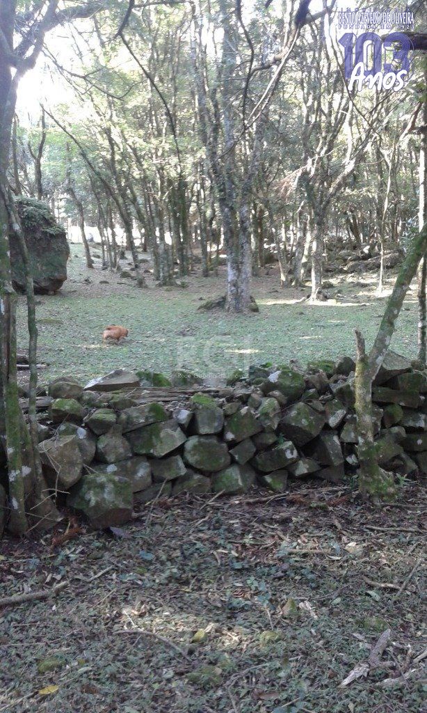 Casa, 3 quartos, 230 m² - Foto 34