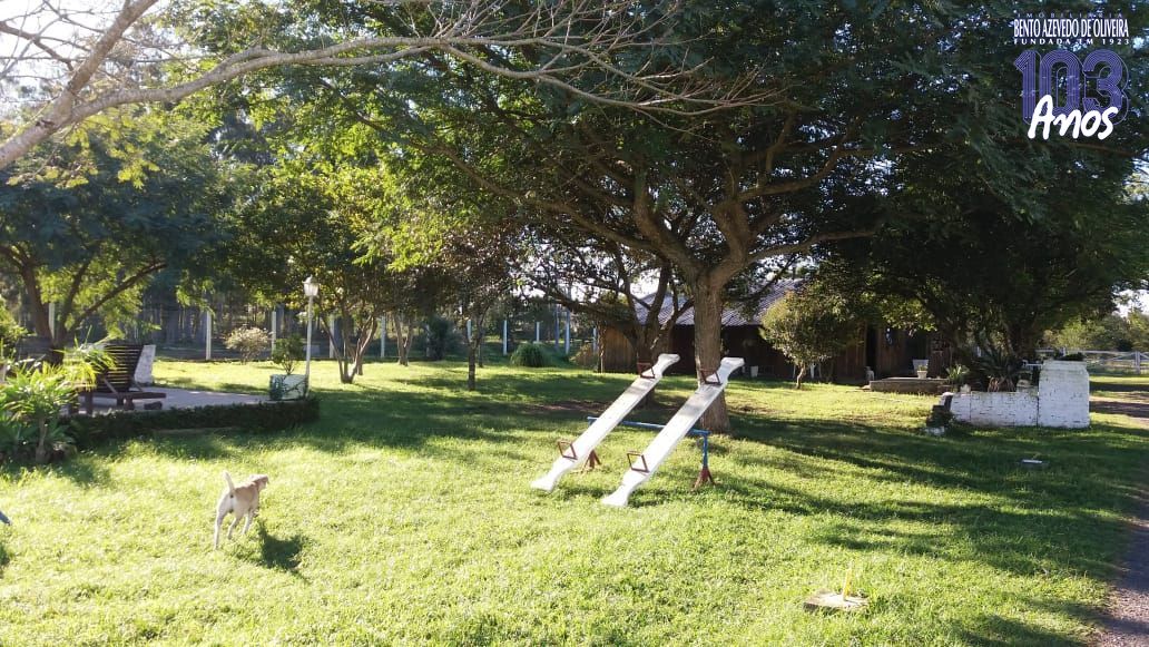 Chácara, 1 quarto, 3 hectares - Foto 22