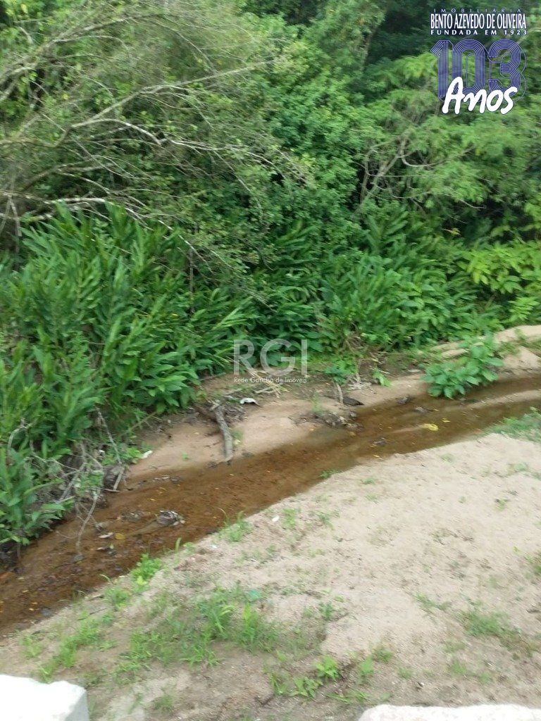 Terreno, 4 hectares - Foto 14