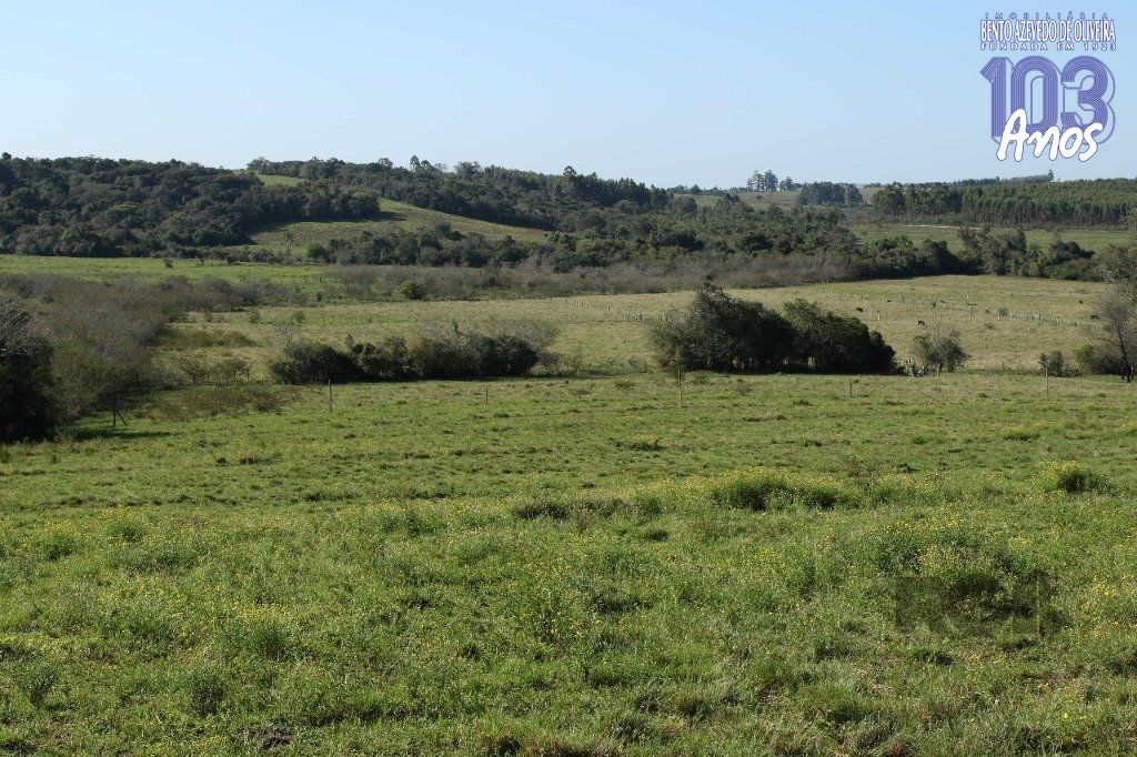 Terreno, 20 hectares - Foto 20