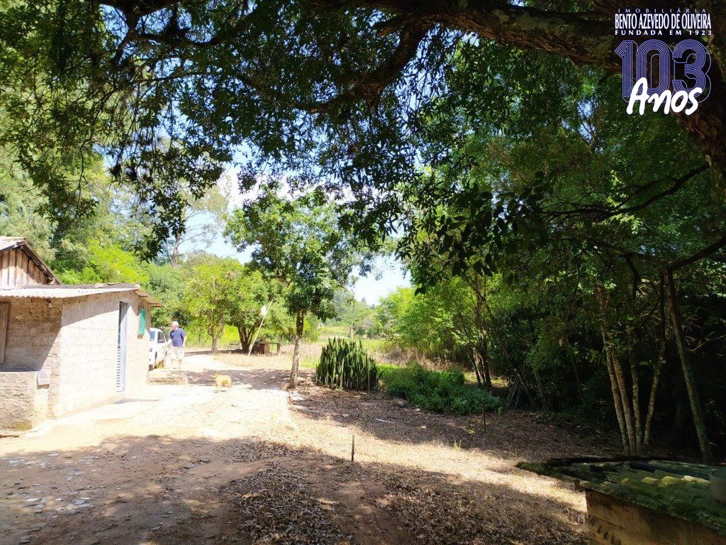 Terreno, 3 hectares - Foto 12