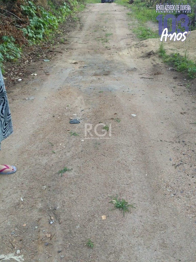 Terreno, 4 hectares - Foto 7