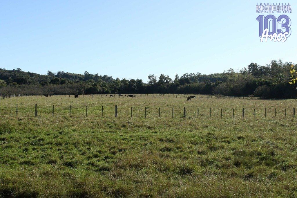 Terreno, 20 hectares - Foto 26