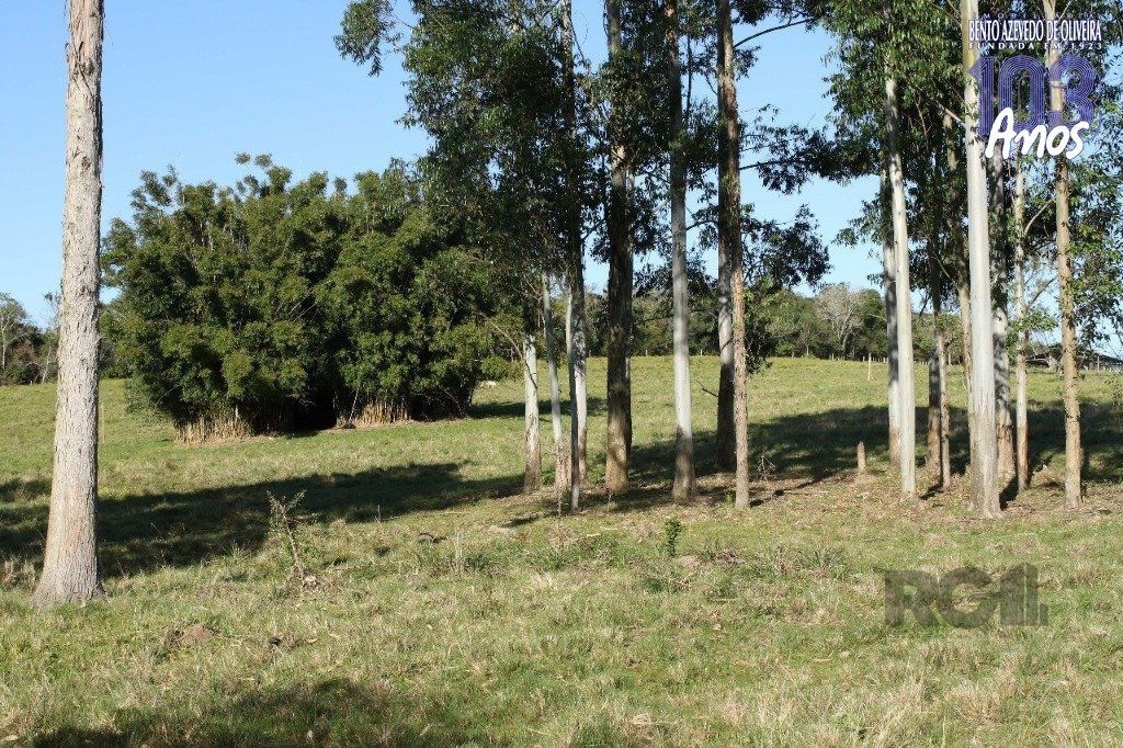 Terreno, 20 hectares - Foto 21
