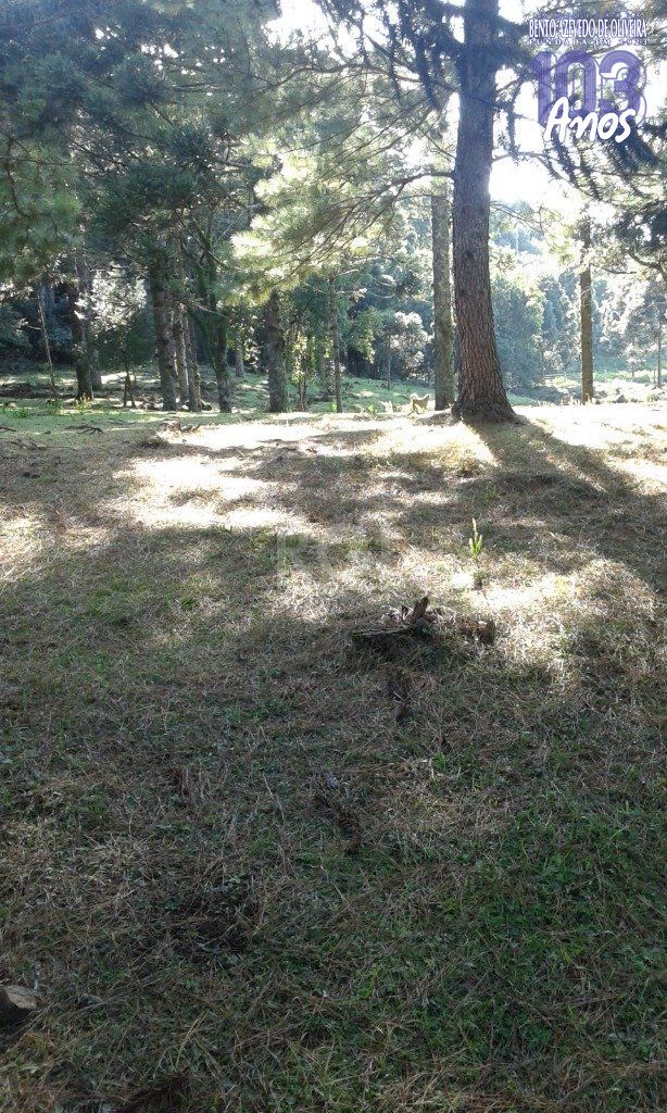 Casa, 3 quartos, 230 m² - Foto 38
