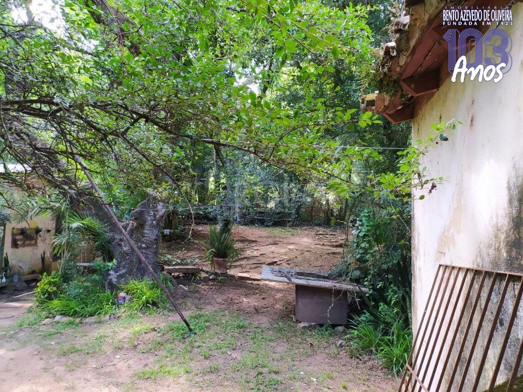 Terreno, 3 hectares - Foto 6