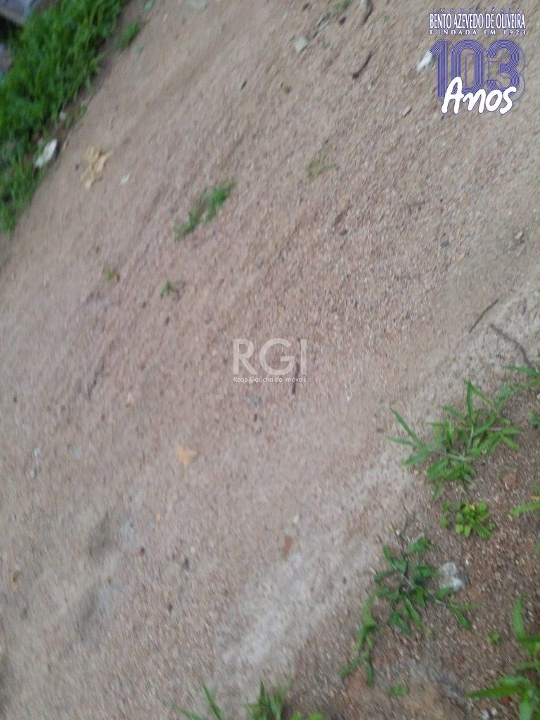 Terreno, 4 hectares - Foto 8