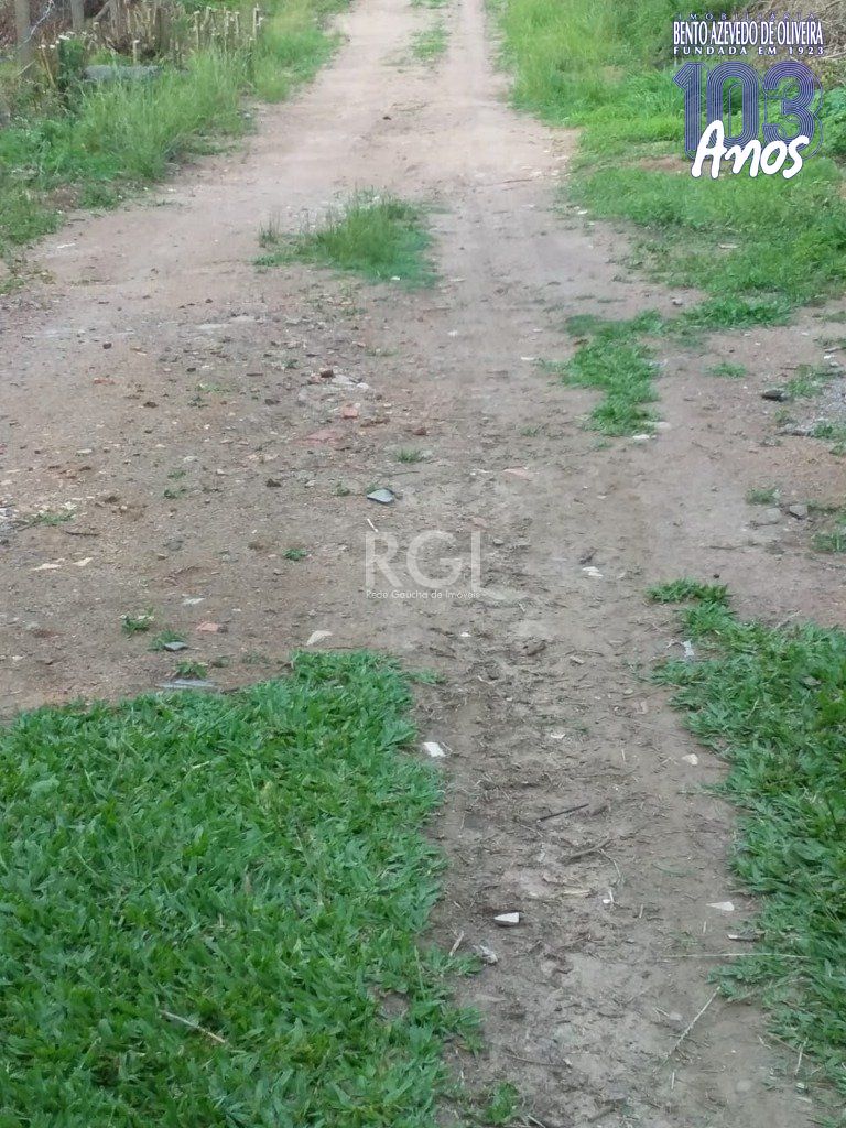 Terreno, 4 hectares - Foto 16