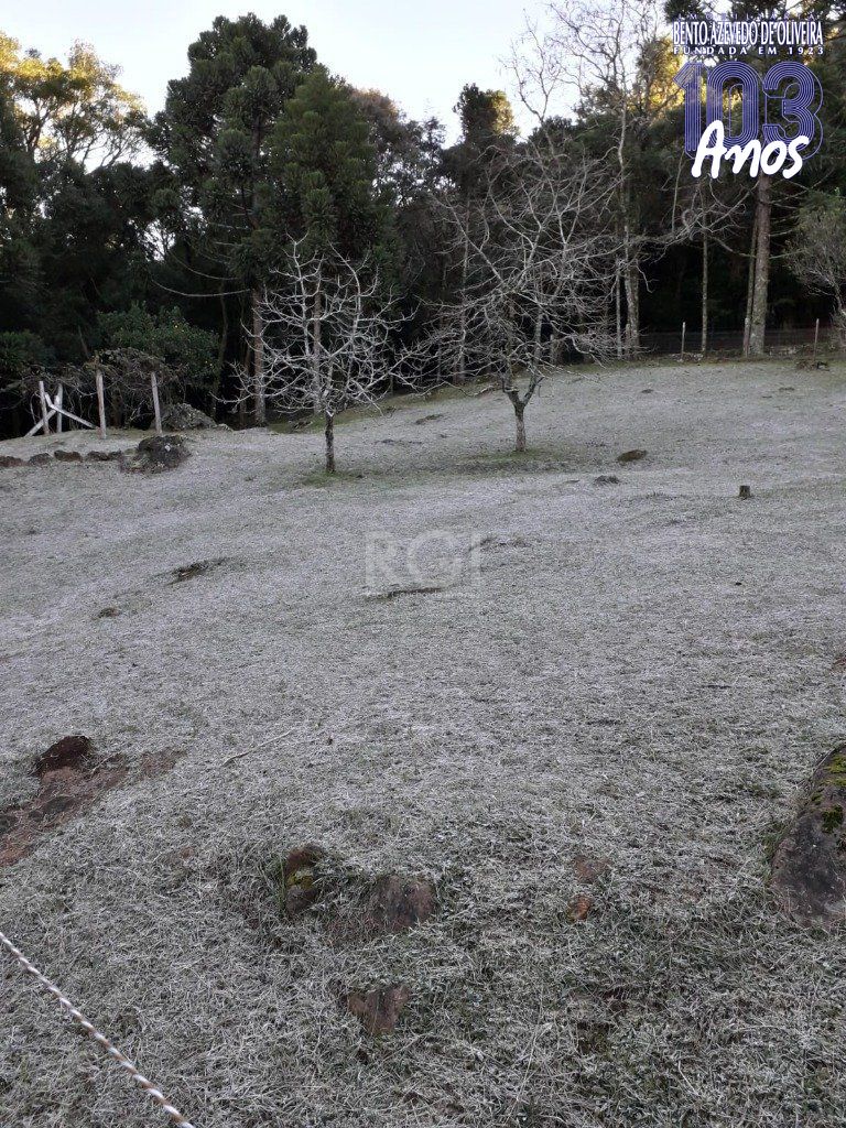 Casa, 3 quartos, 230 m² - Foto 44