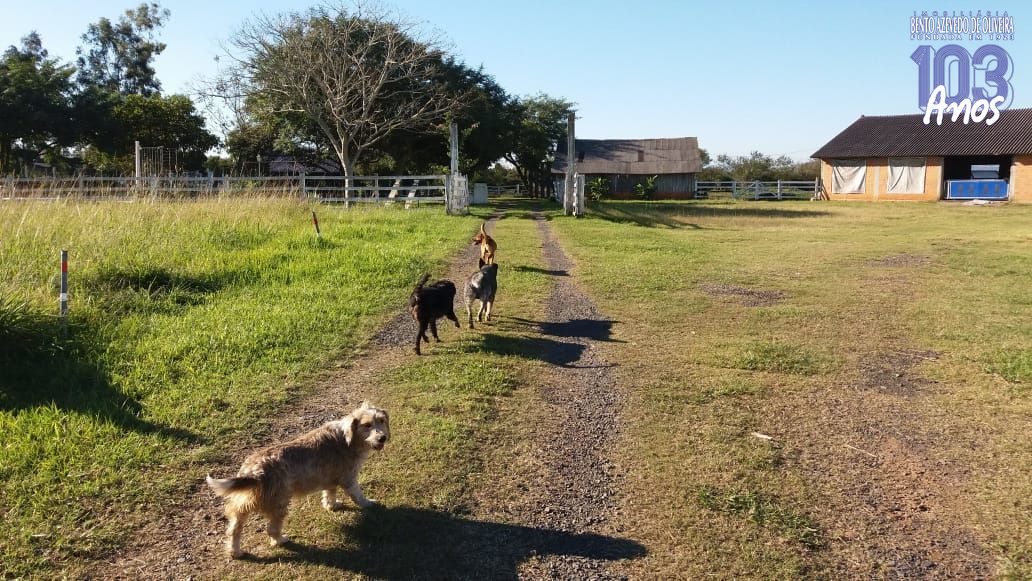 Chácara, 1 quarto, 3 hectares - Foto 16