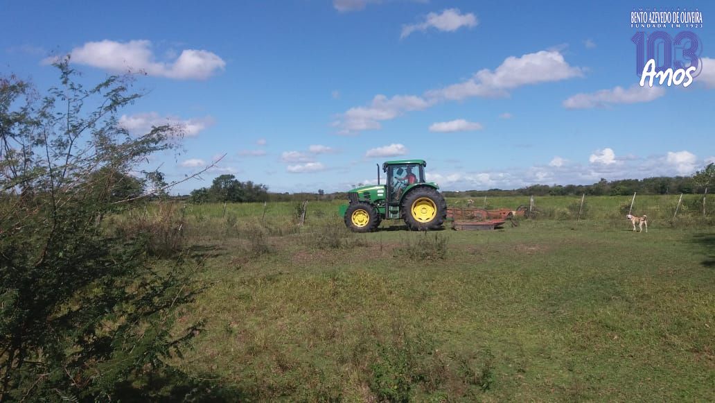 Chácara, 1 quarto, 3 hectares - Foto 14