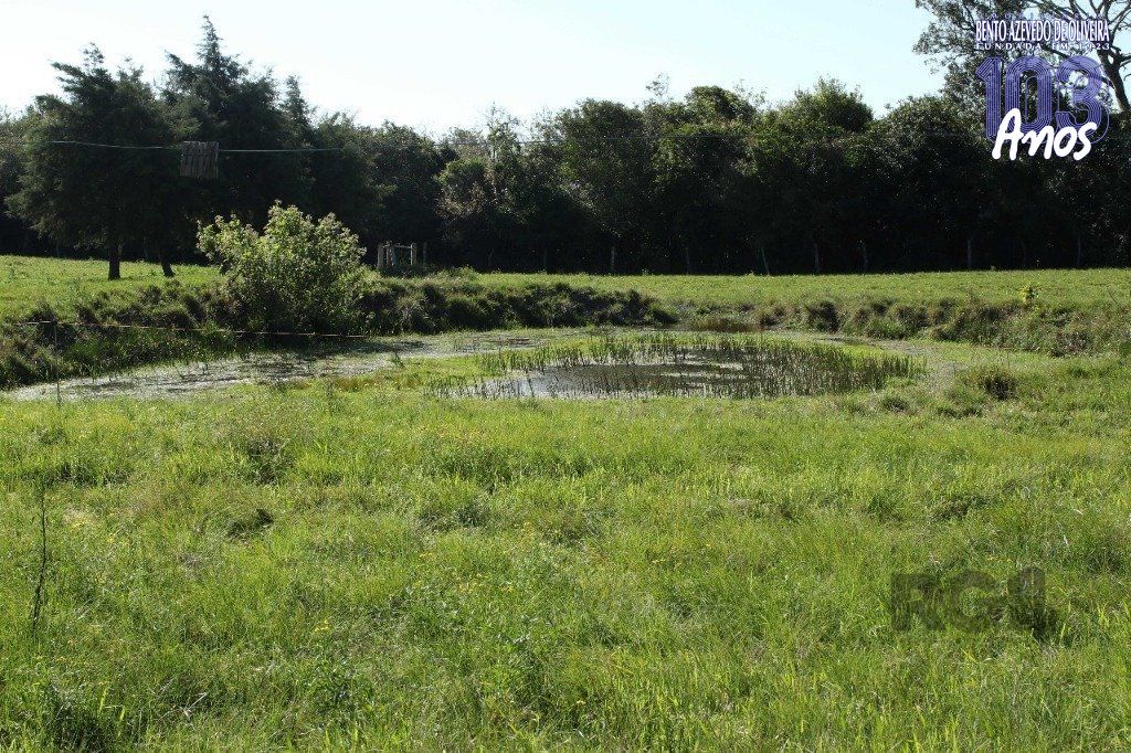Terreno, 20 hectares - Foto 14