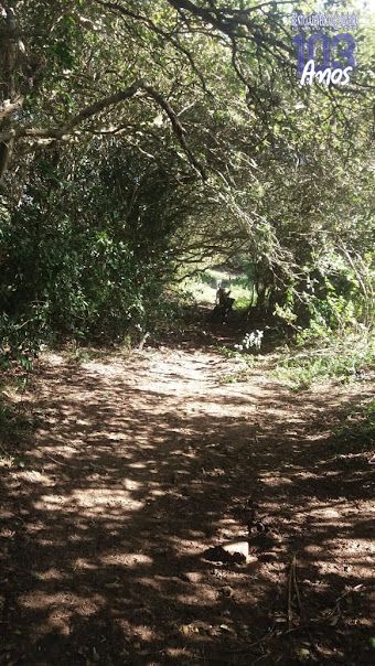Chácara, 1 quarto, 3 hectares - Foto 19