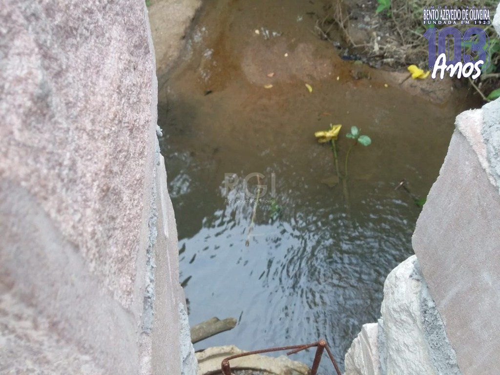 Terreno, 4 hectares - Foto 8