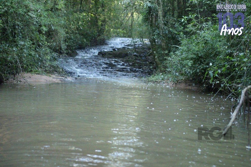 Terreno, 20 hectares - Foto 19