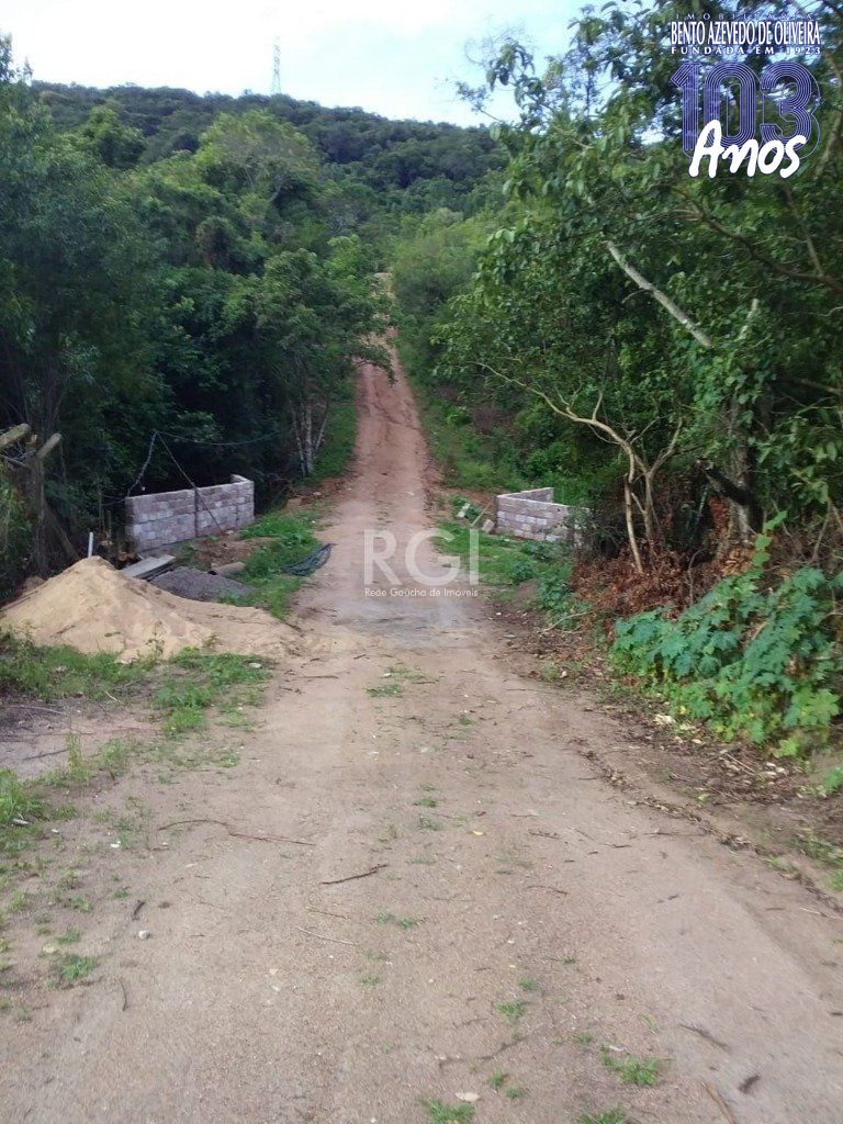 Terreno, 4 hectares - Foto 6