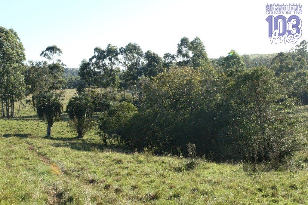 Terreno, 20 hectares - Foto 27