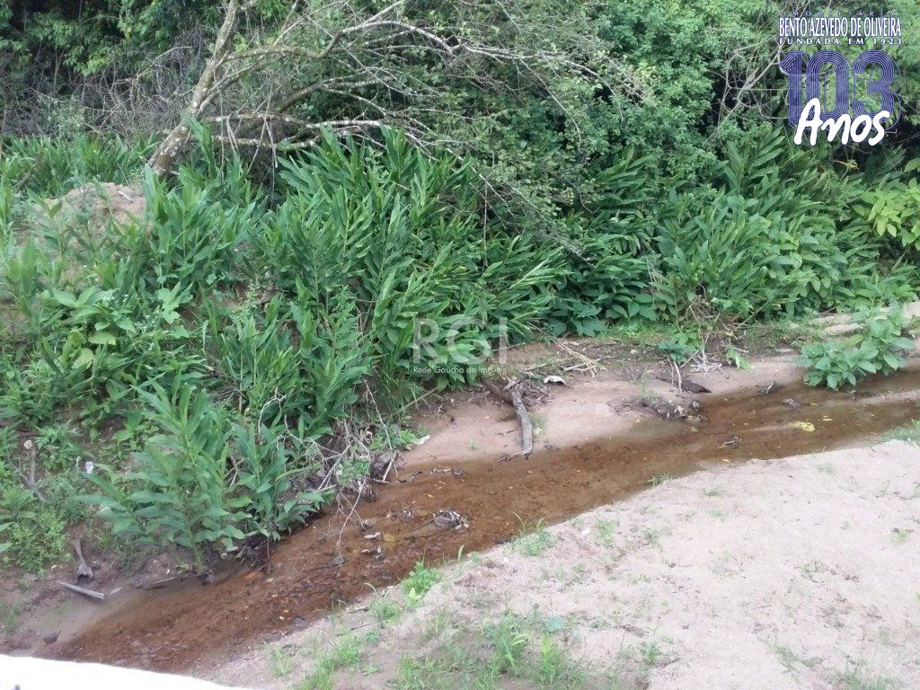 Terreno, 4 hectares - Foto 11