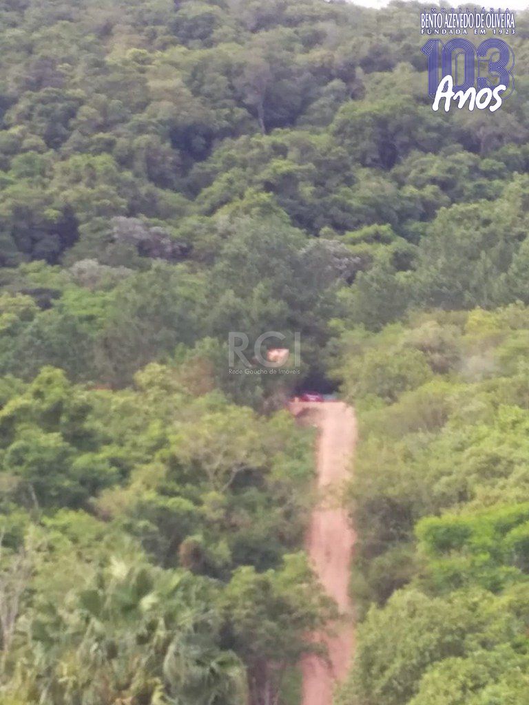 Terreno, 4 hectares - Foto 6