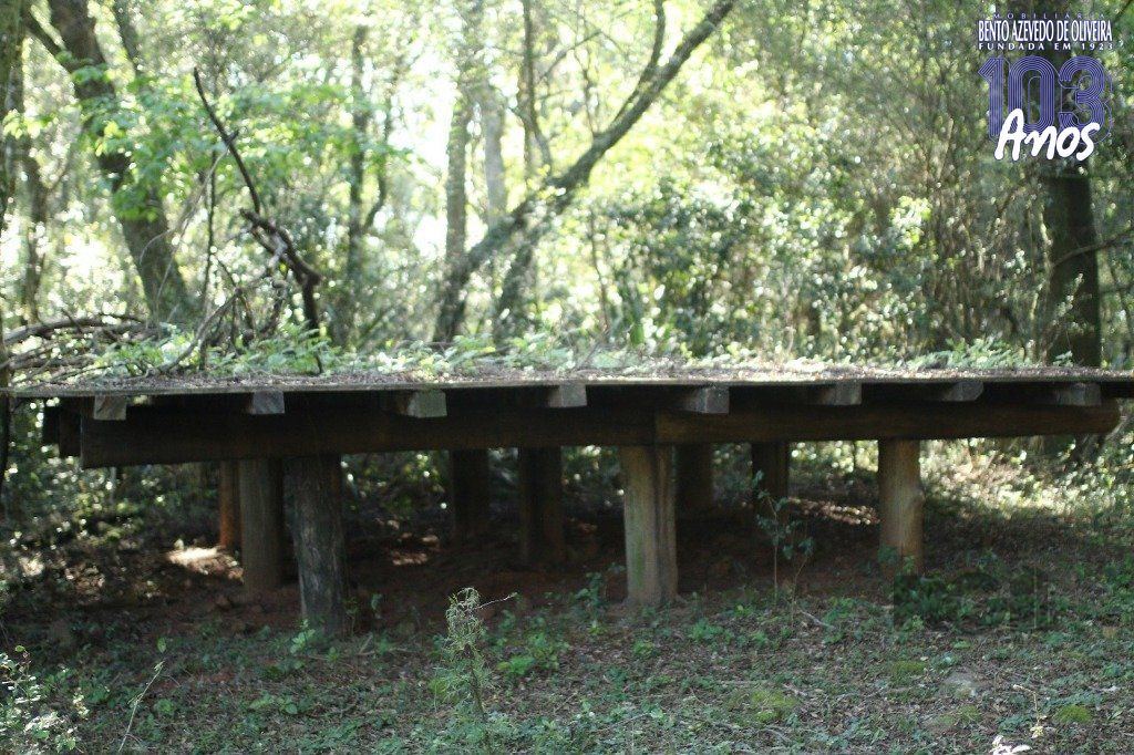 Terreno, 20 hectares - Foto 22
