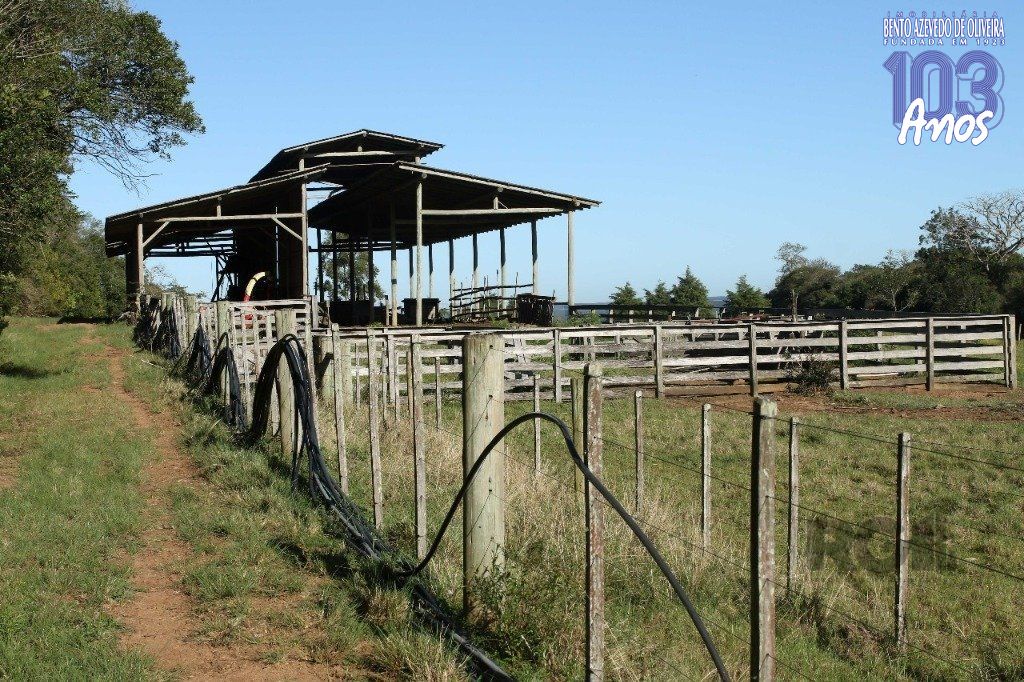 Terreno, 20 hectares - Foto 10