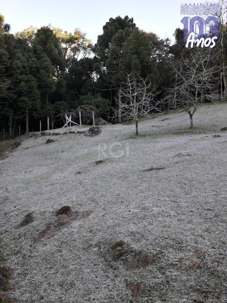 Casa, 3 quartos, 230 m² - Foto 46
