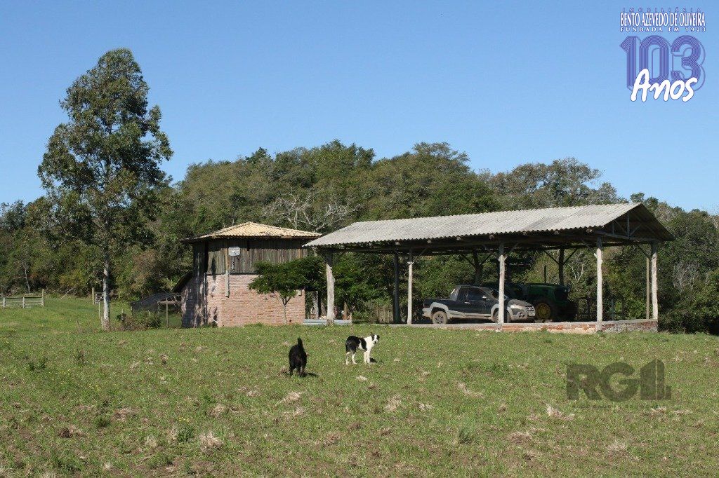 Terreno, 20 hectares - Foto 8