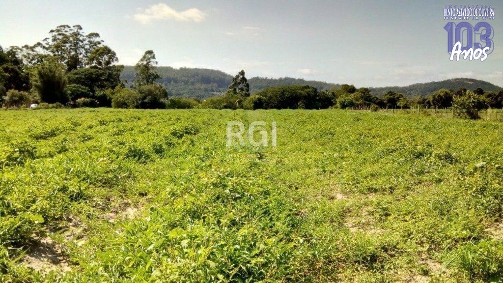 Terreno, 2 hectares - Foto 2
