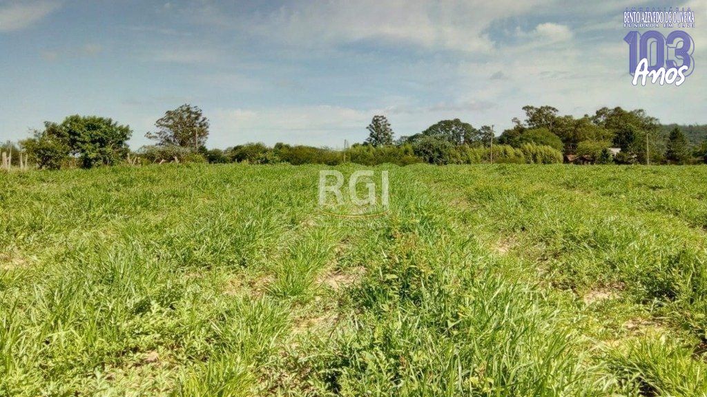 Terreno, 2 hectares - Foto 5