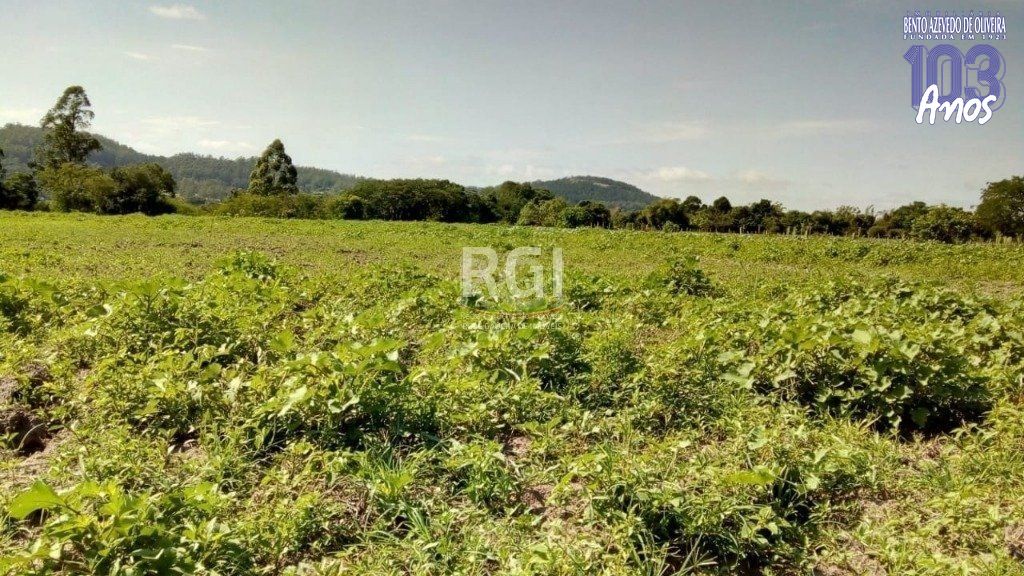 Terreno, 2 hectares - Foto 7