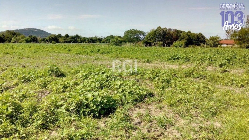 Terreno, 2 hectares - Foto 4
