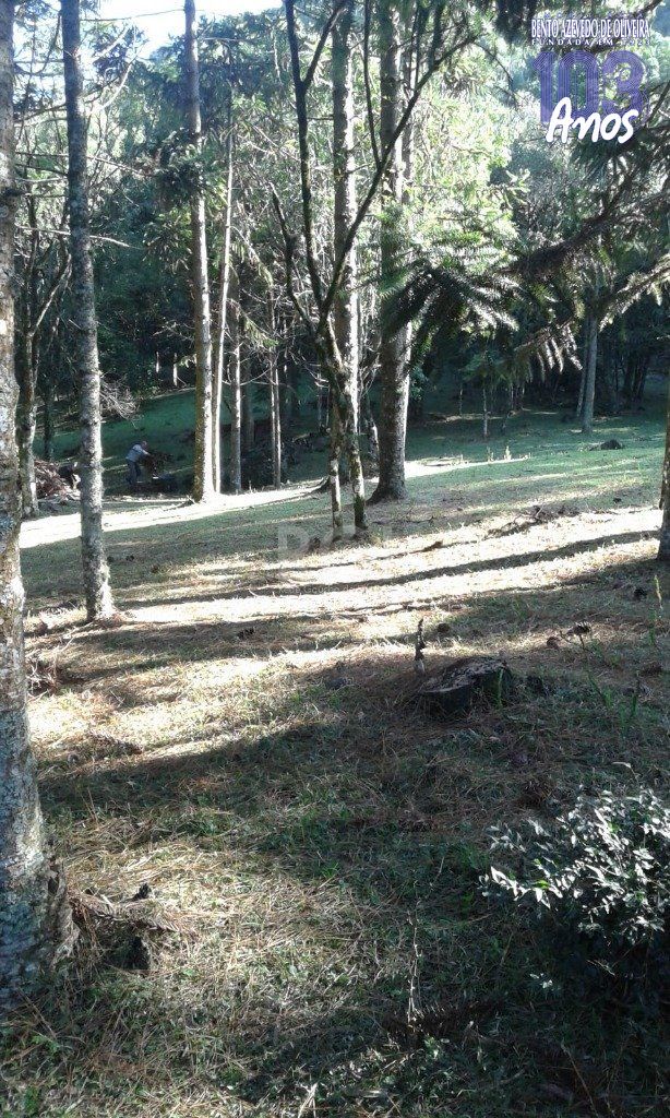 Casa, 3 quartos, 230 m² - Foto 35