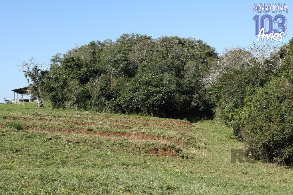Terreno, 20 hectares - Foto 28