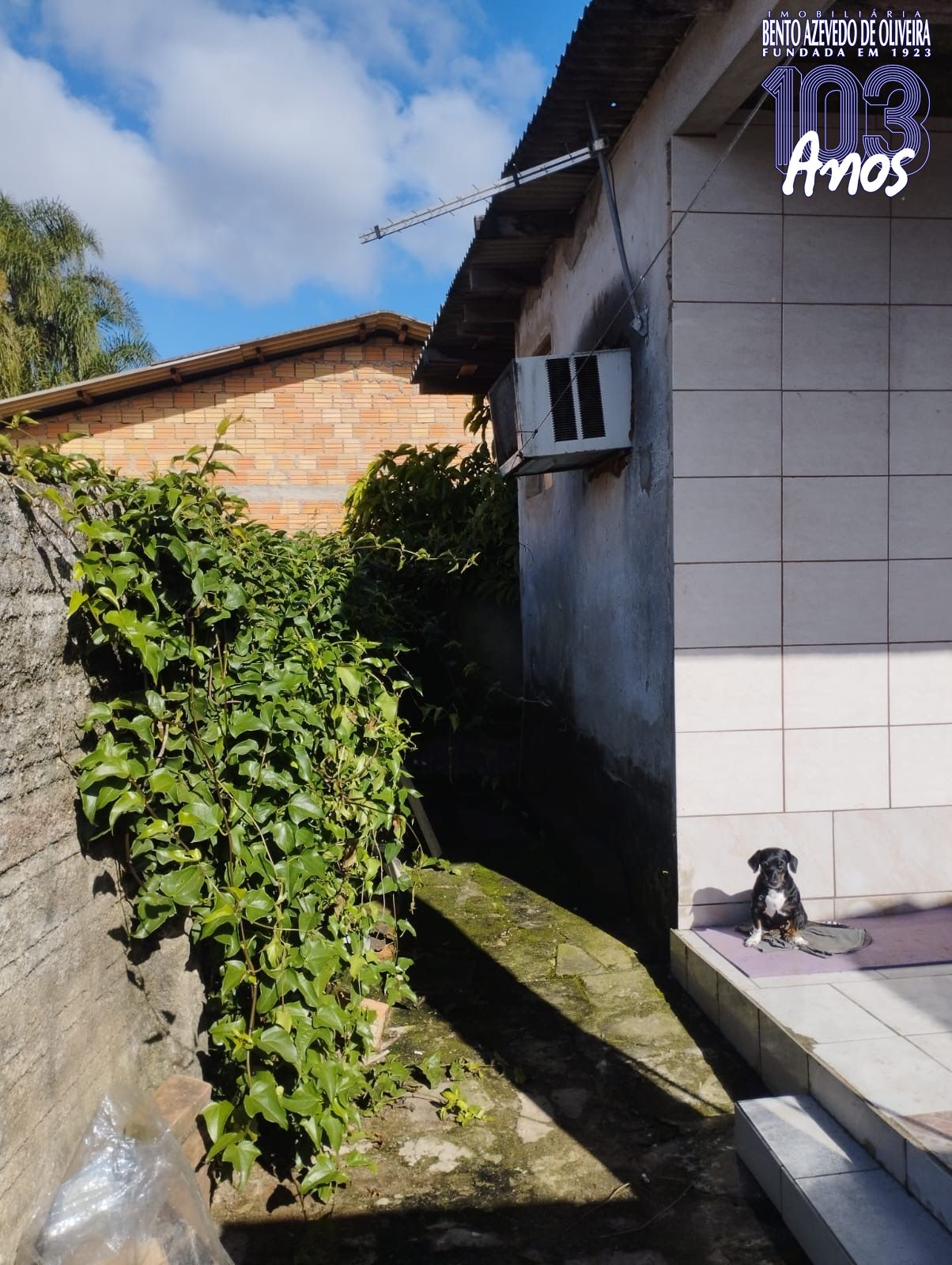 Terreno, 300 m² - Foto 1